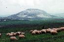 IMG11.jpg