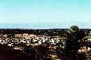 IMG15.jpg
