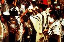 IMG18.jpg