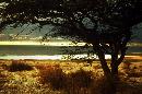 Img03.jpg