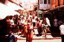 Img06.jpg