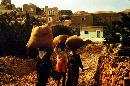 Img13.jpg