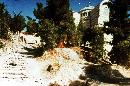 Img11.jpg