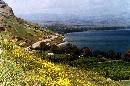 Img11.jpg
