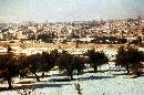 Img16.jpg
